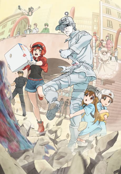 Cells at Work