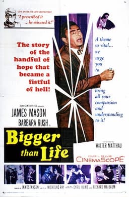 Bigger Than Life