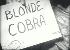 Blonde Cobra