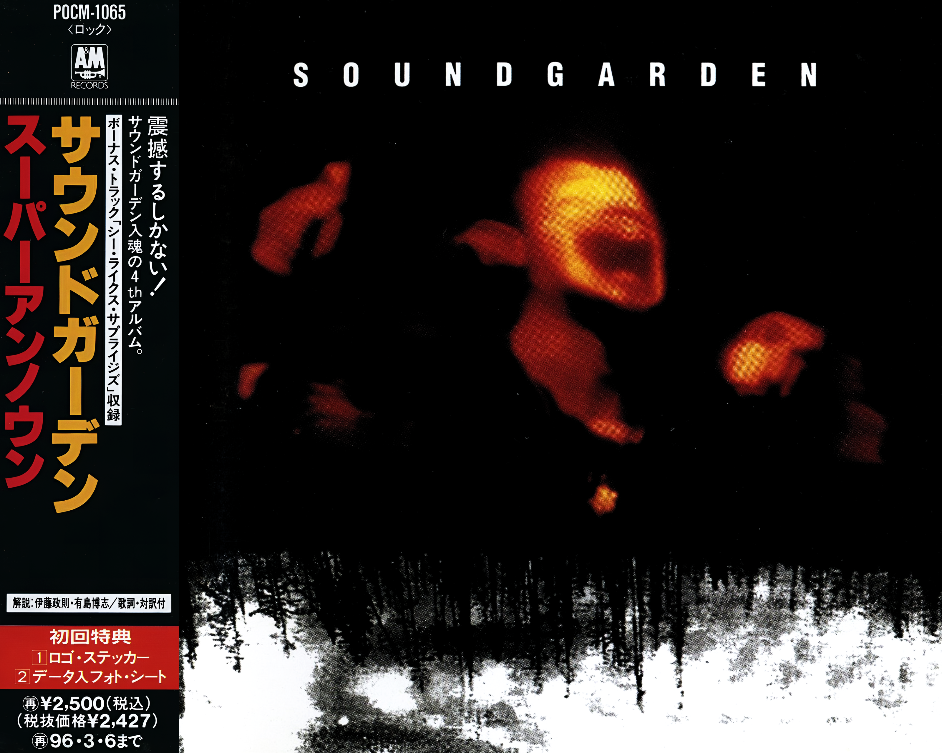 Superunknown