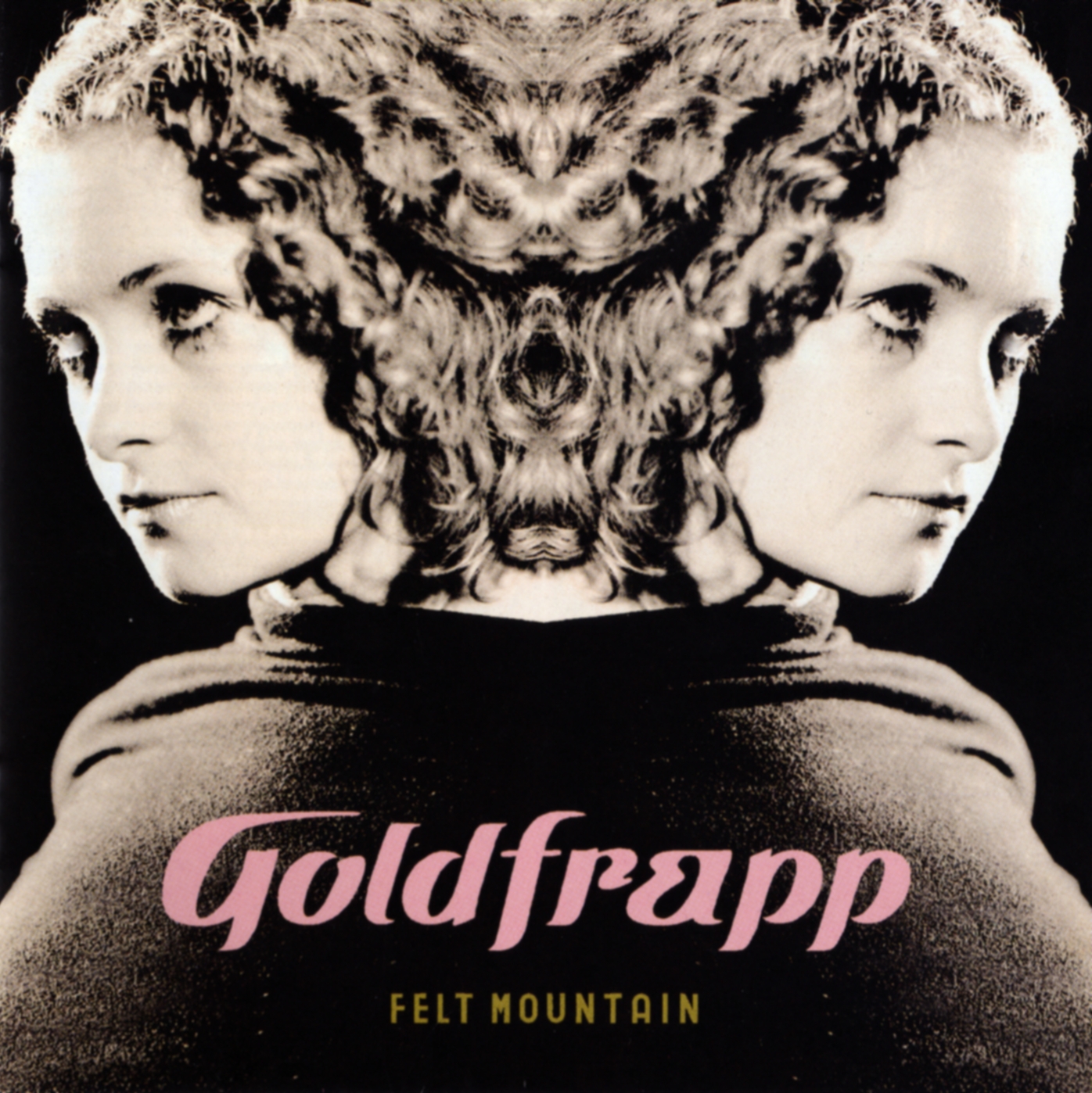 Felt Mountain