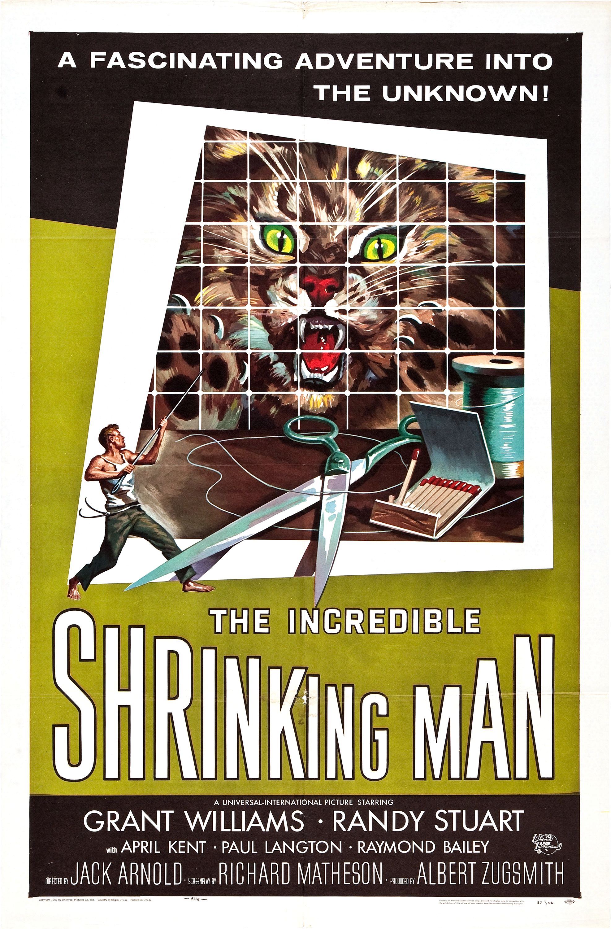 The Incredible Shrinking Man