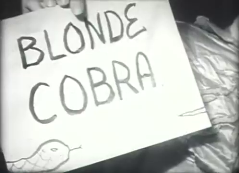 Blonde Cobra