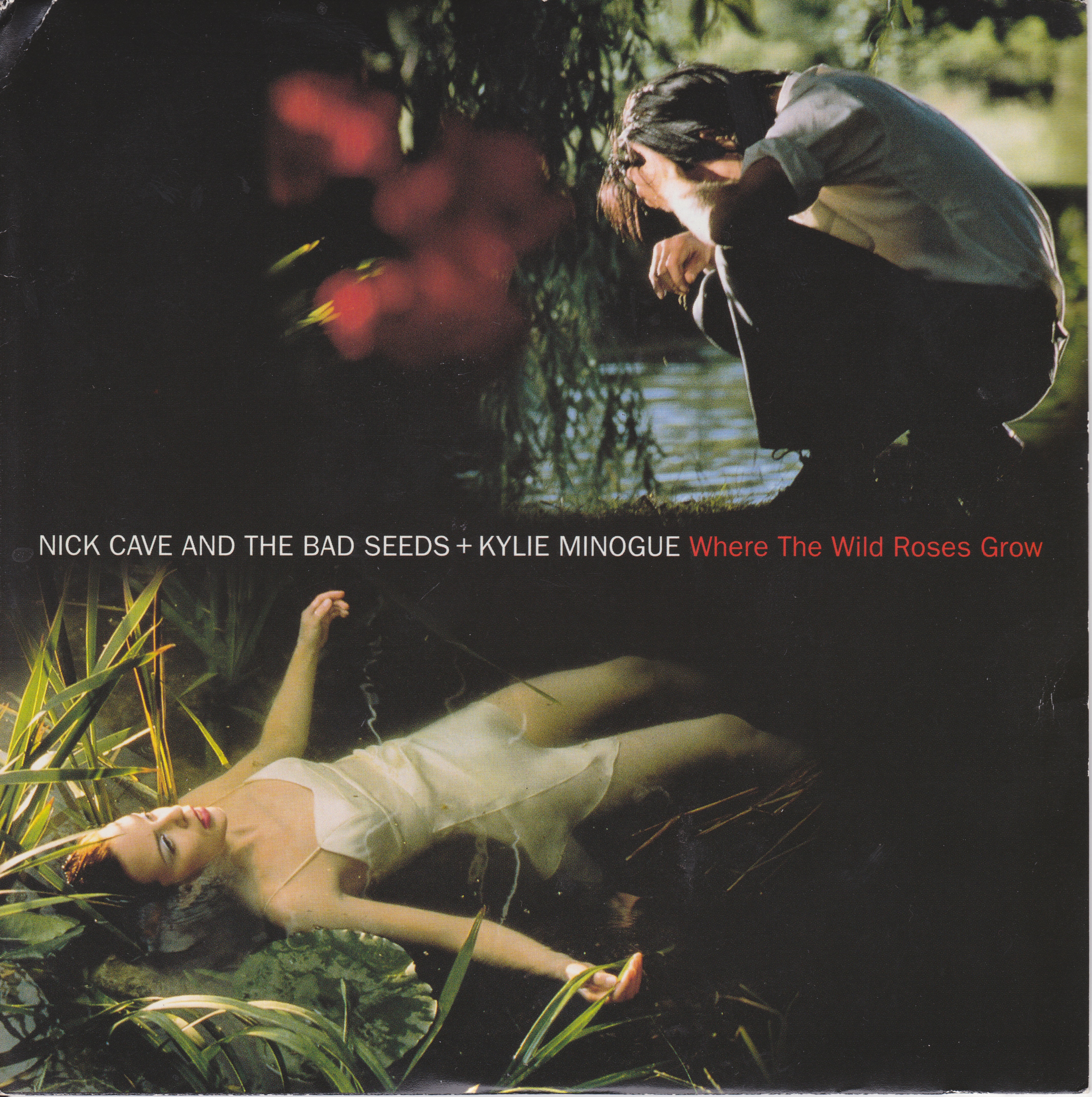 Where The Wild Roses Grow